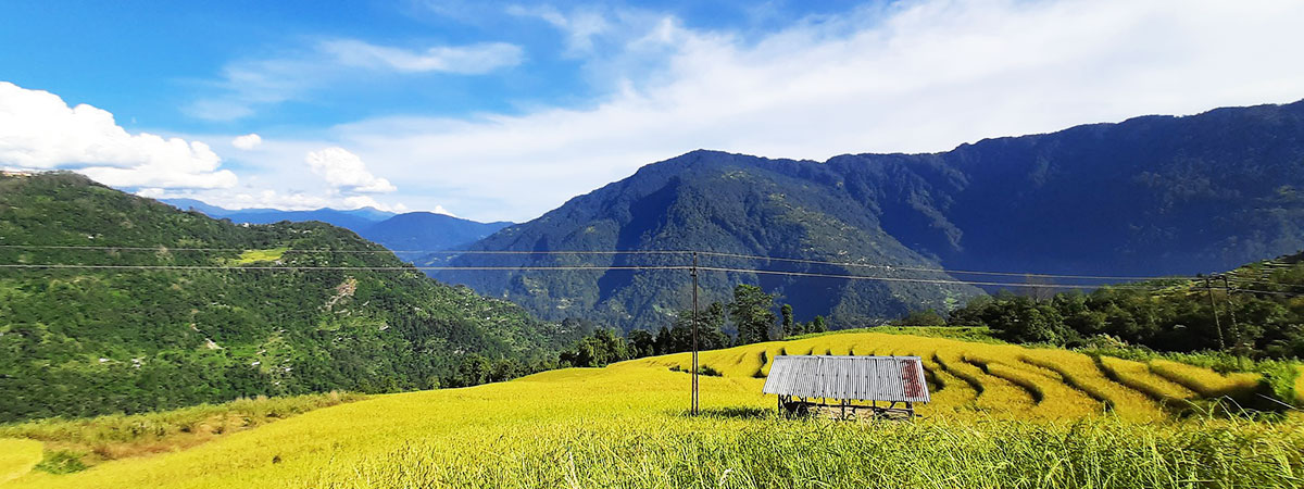 Gangtok, Pelling, Kalimpong & Darjeeling Tour